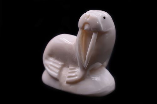 WALRUS IVORY CARVING